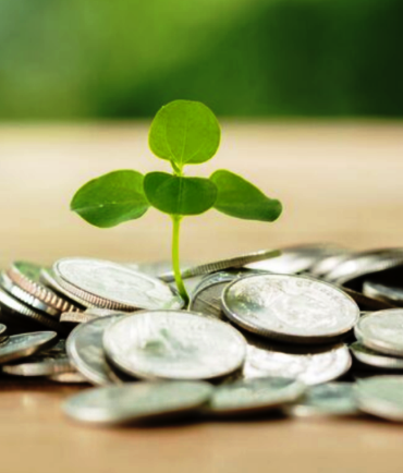 Demján Sándor 1+1 KKV Beruházás-élénkítő Támogatási Program – 2. ütem - Pályázati koncepció