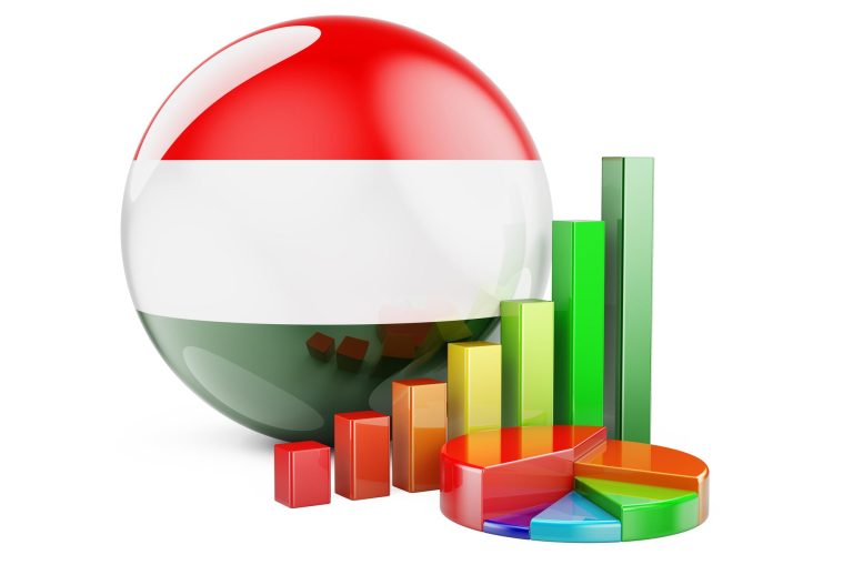 Hungarian flag with growth bar graph and pie chart Business finance economic statistics in Hungary concept 3D rendering