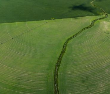 Precíziós pályázati 2026: digitális agrárforrások és feltételek