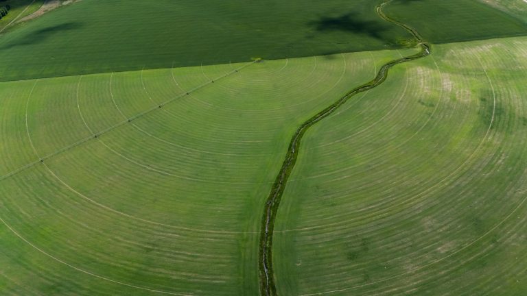 Precíziós pályázati 2026: digitális agrárforrások és feltételek