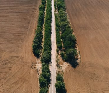 Villamos energia beszerzés 2025–2026: mit kell tudni a 2026-os szerződésekről