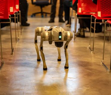 AI-bevezetési döntés 2026: hol térül meg a magyar KKV-nak