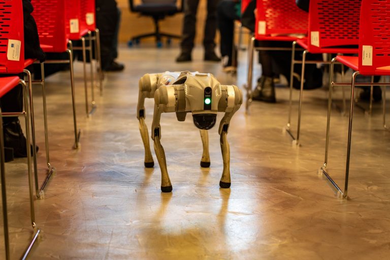 AI-bevezetési döntés 2026: hol térül meg a magyar KKV-nak